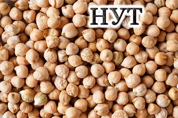 Нут