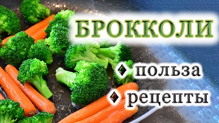 Брокколи: польза и особенности