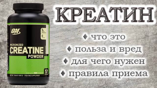 Креатин: его использование, целевая аудитория, преимущества и недостатки, рекомендации по приему