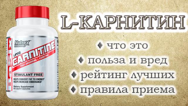 L-карнитин: для чего нужен, польза и вред