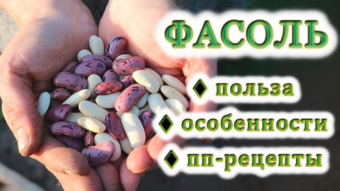 Фасоль: преимущества и уникальные аспекты