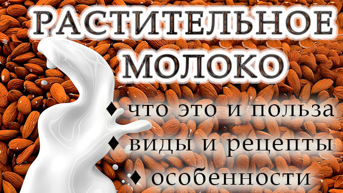 Растительное молоко: преимущества, особенности, обзор видов и рецепты