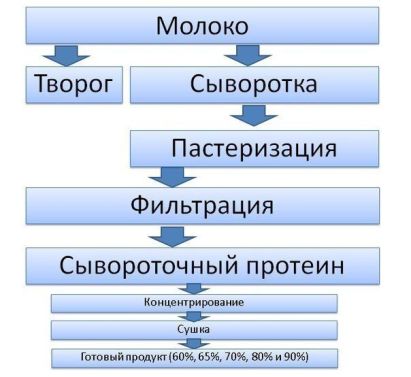 Процесс изготовления протеина